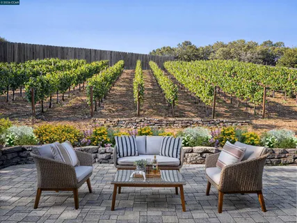 a view of a patio with couches table and chairs and potted plants