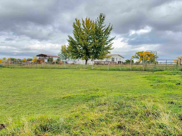 a view of a big yard with plants and large trees
