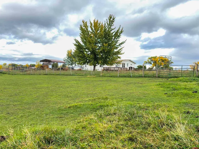a view of a big yard with plants and large trees