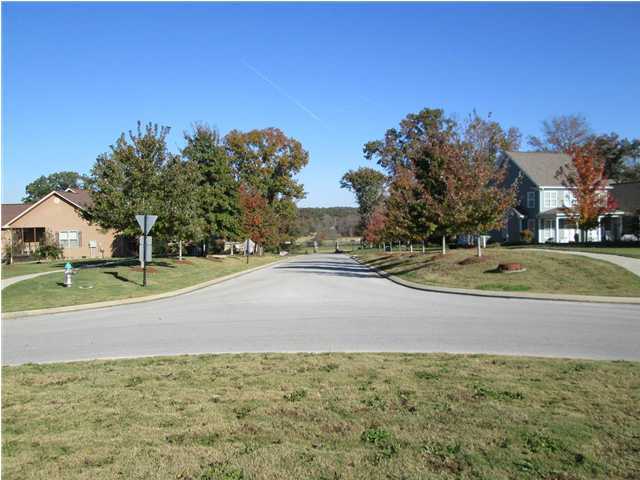 0 Hunting Ridge Circle, Unit 37 Rock Spring, GA 30739 - Photo 5 of 5 Additional Photo
