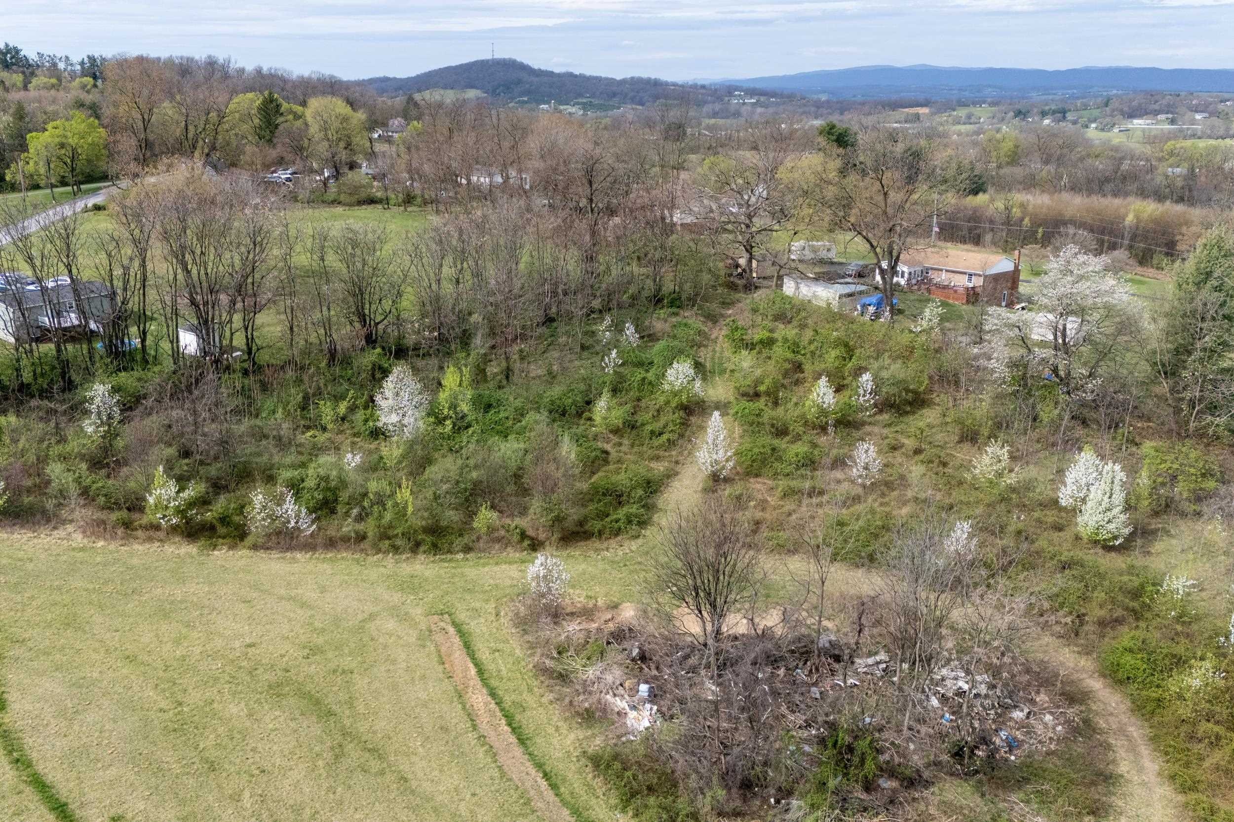 12039 Hupp Road Broadway, VA 22815 - Photo 11 of 22 Gallery Image 11