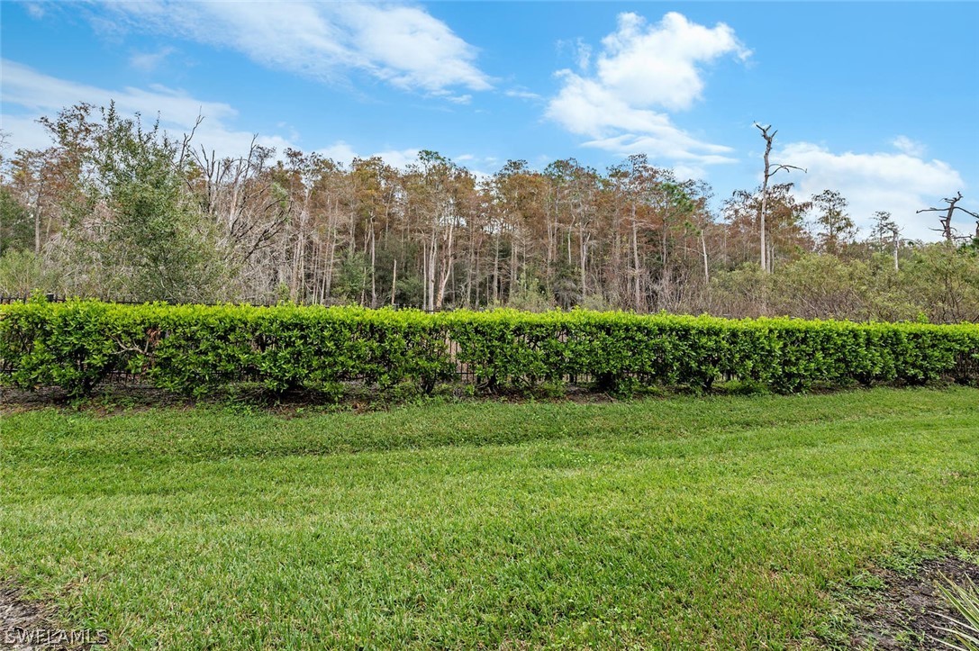 4032 Cherrybrook Loop Fort Myers, FL 33966 - Photo 22 of 22 a view of a city view