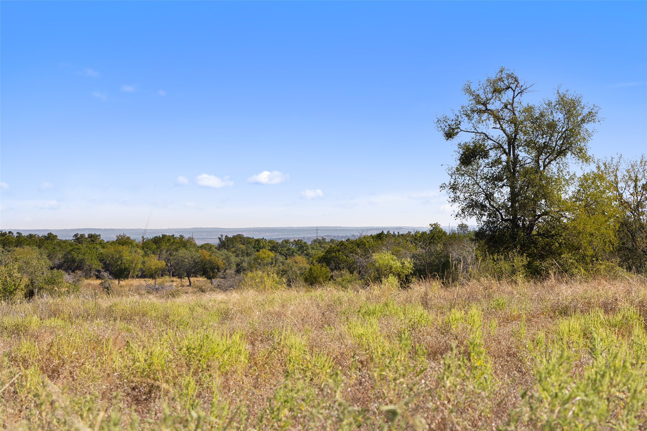 1301 Rm 2147 Marble Falls Marble Falls, TX 78654 - Photo 14 of 14 View of nature