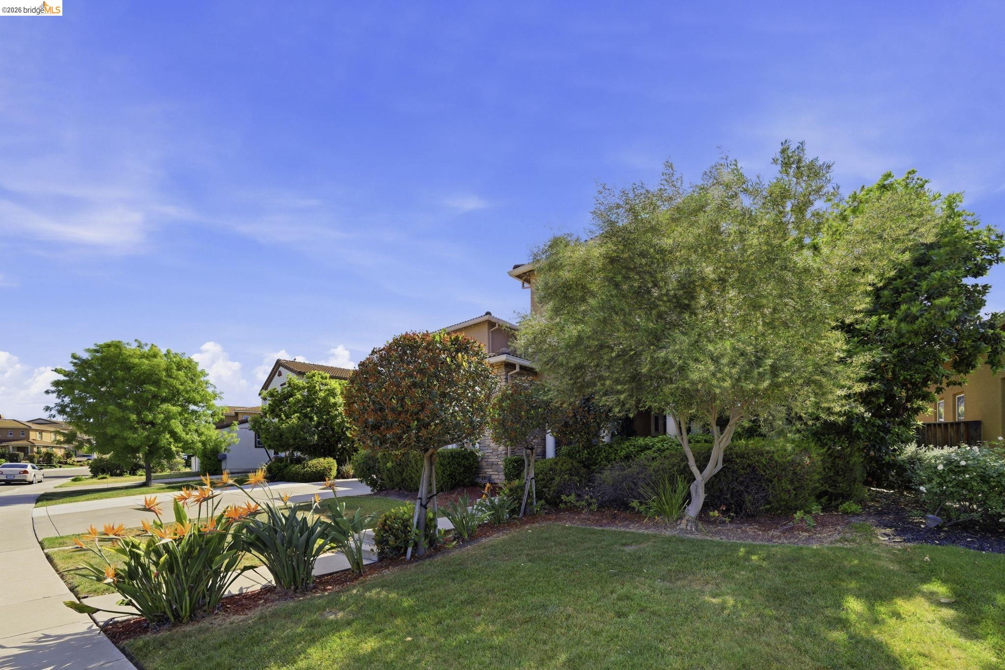 4568 Le Conte Circle Antioch, CA 94531 - Photo 4 of 36 View of green lawn with a residential view