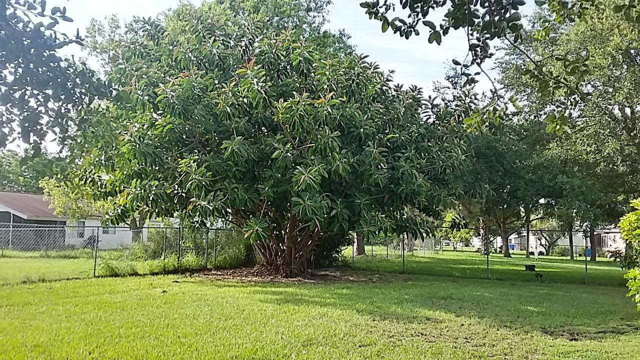 210 Southwest Homeland Road Port St. Lucie, FL 34953 - Photo 32 of 41 20160703_175852_Richtone(HDR)