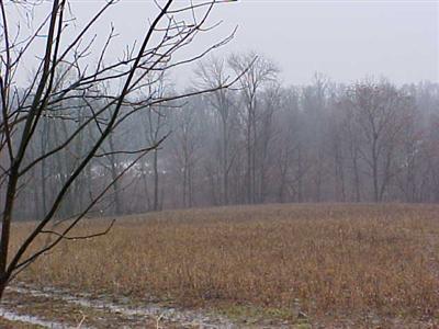 County Farm Road Parma, MI 49269 - Photo 1 of 5 Primary Photo