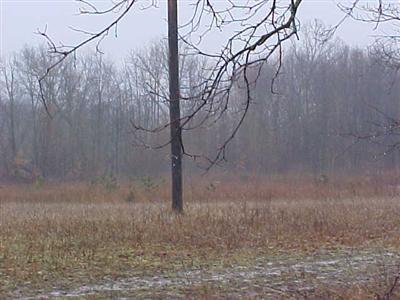 County Farm Road Parma, MI 49269 - Photo 2 of 5 Additional Photo