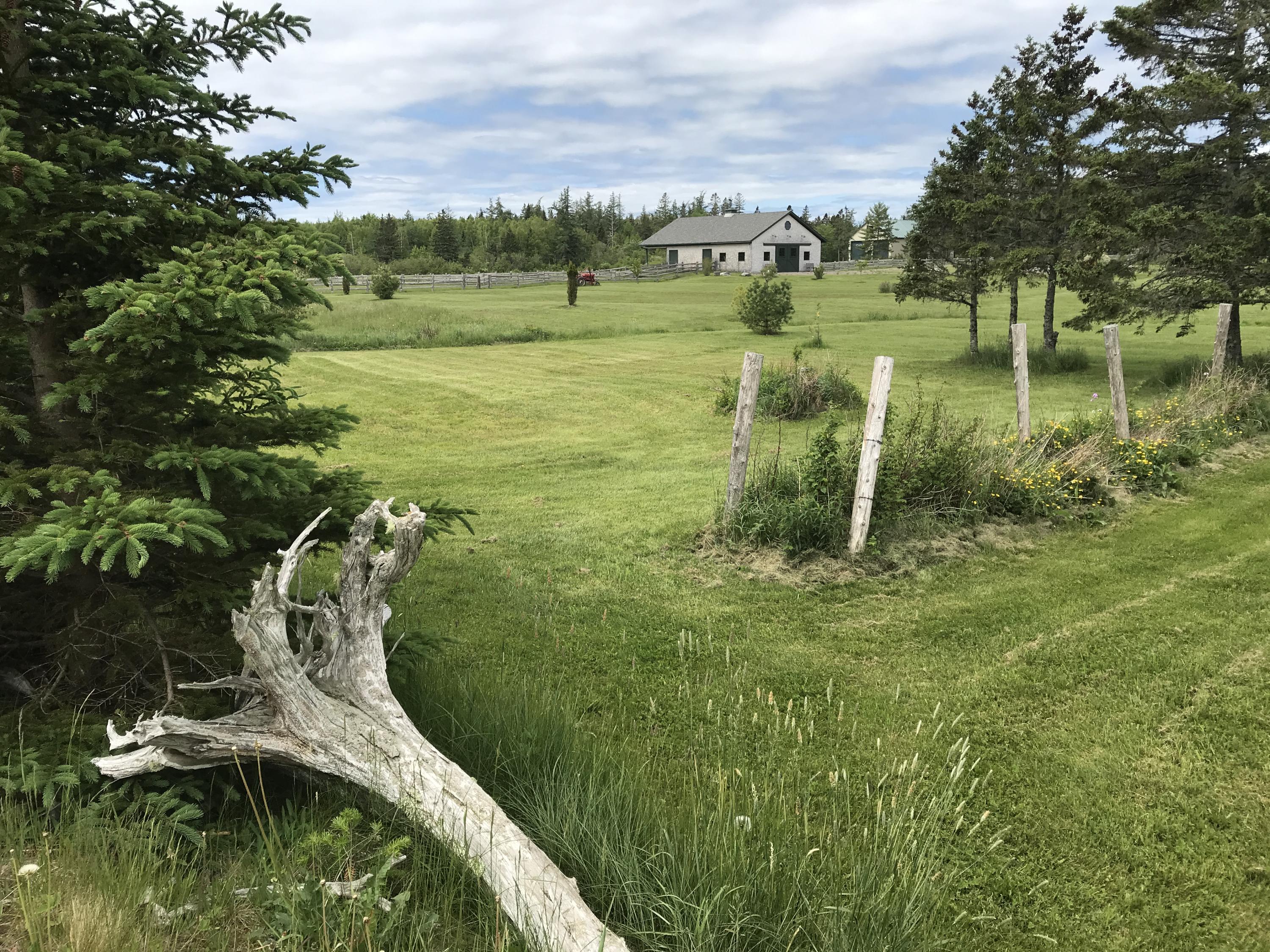 435 Leighton Point Road Pembroke, ME 04666 - Photo 22 of 70 View across raspberry patch to neighbor