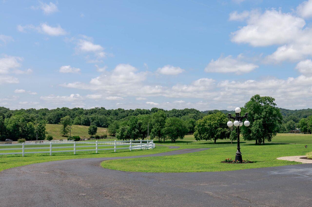 365 Normandy Road Wartrace, TN 37183 - Photo 26 of 30 a green field with lots of trees in the background
