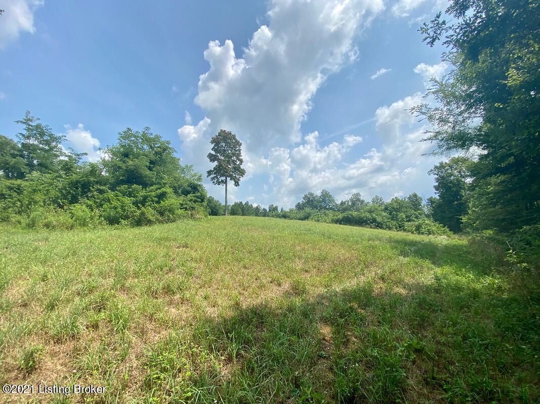 1270 Duvall Road Caneyville, KY 42721 - Photo 36 of 61 1270 Duvall Rd25