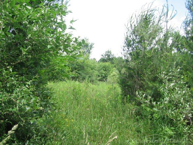 Tbd Burns Line Croswell, MI 48422 - Photo 11 of 19