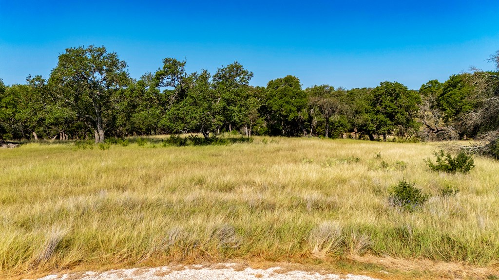 Lot 14 Thornton Rdg Drive Kerrville, TX 78028 - Photo 3 of 24 a view of swimming pool and mountain in the background