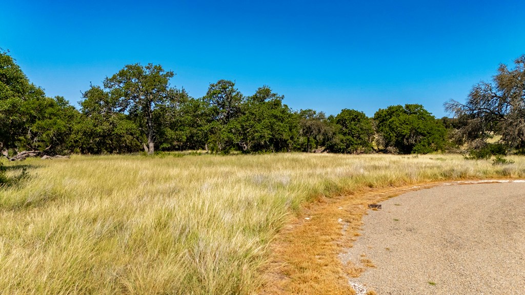Lot 14 Thornton Rdg Drive Kerrville, TX 78028 - Photo 4 of 24 a view of yard with trees in the background