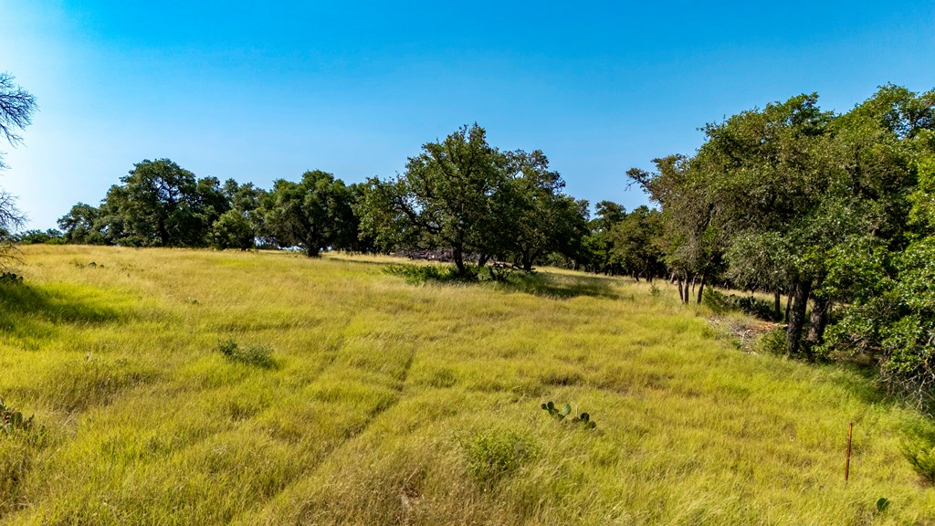 Lot 14 Thornton Rdg Drive Kerrville, TX 78028 - Photo 5 of 24 a view of yard with swimming pool and trees in the background