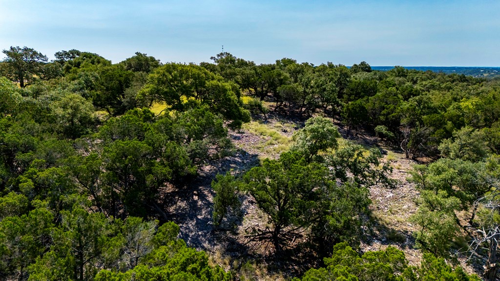 Lot 14 Thornton Rdg Drive Kerrville, TX 78028 - Photo 6 of 24 a view of a lush green forest