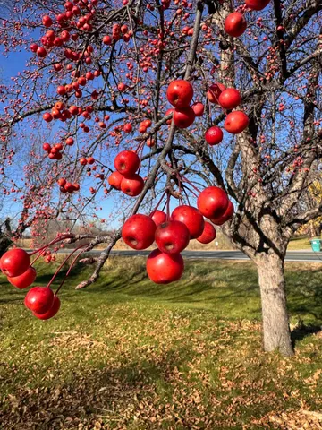 $325,000 | 4757 Rush Lake Road, Rush City, MN 55069