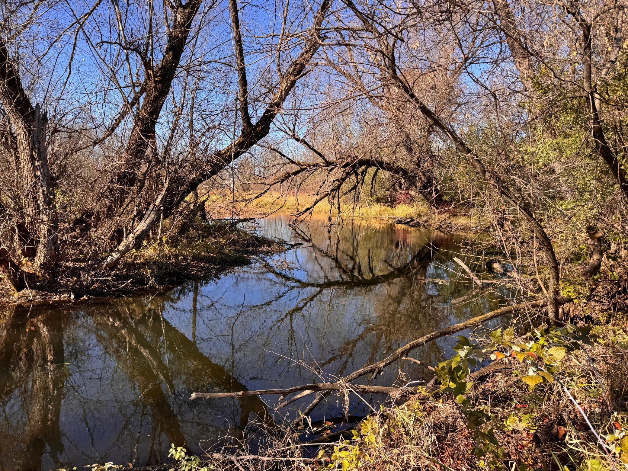 4757 Rush Lake Road Rush City, MN 55069 - Photo 10 of 34