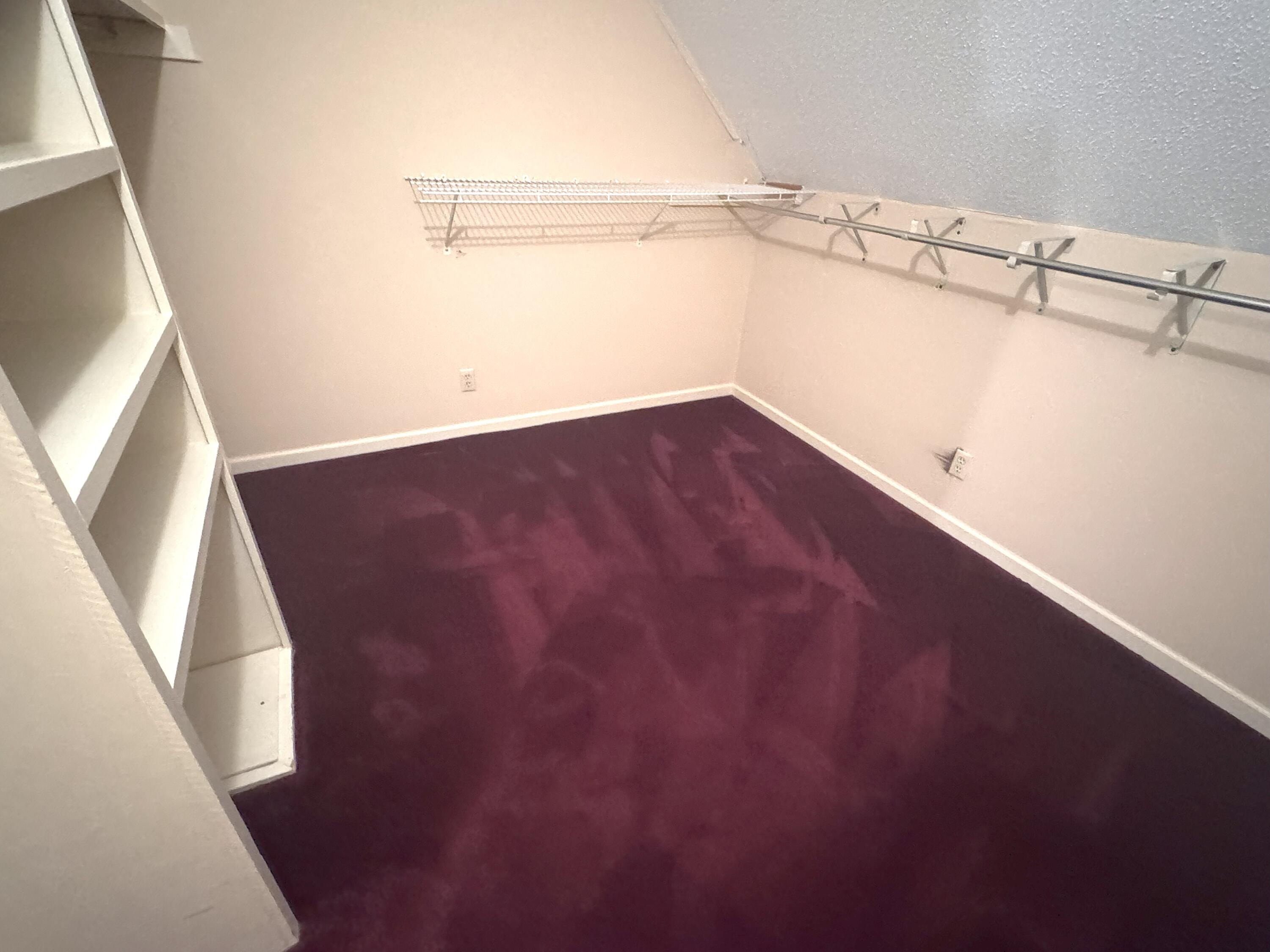 6424 Lake Shadows Circle Hixson, TN 37343 - Photo 35 of 48 Primary Closet