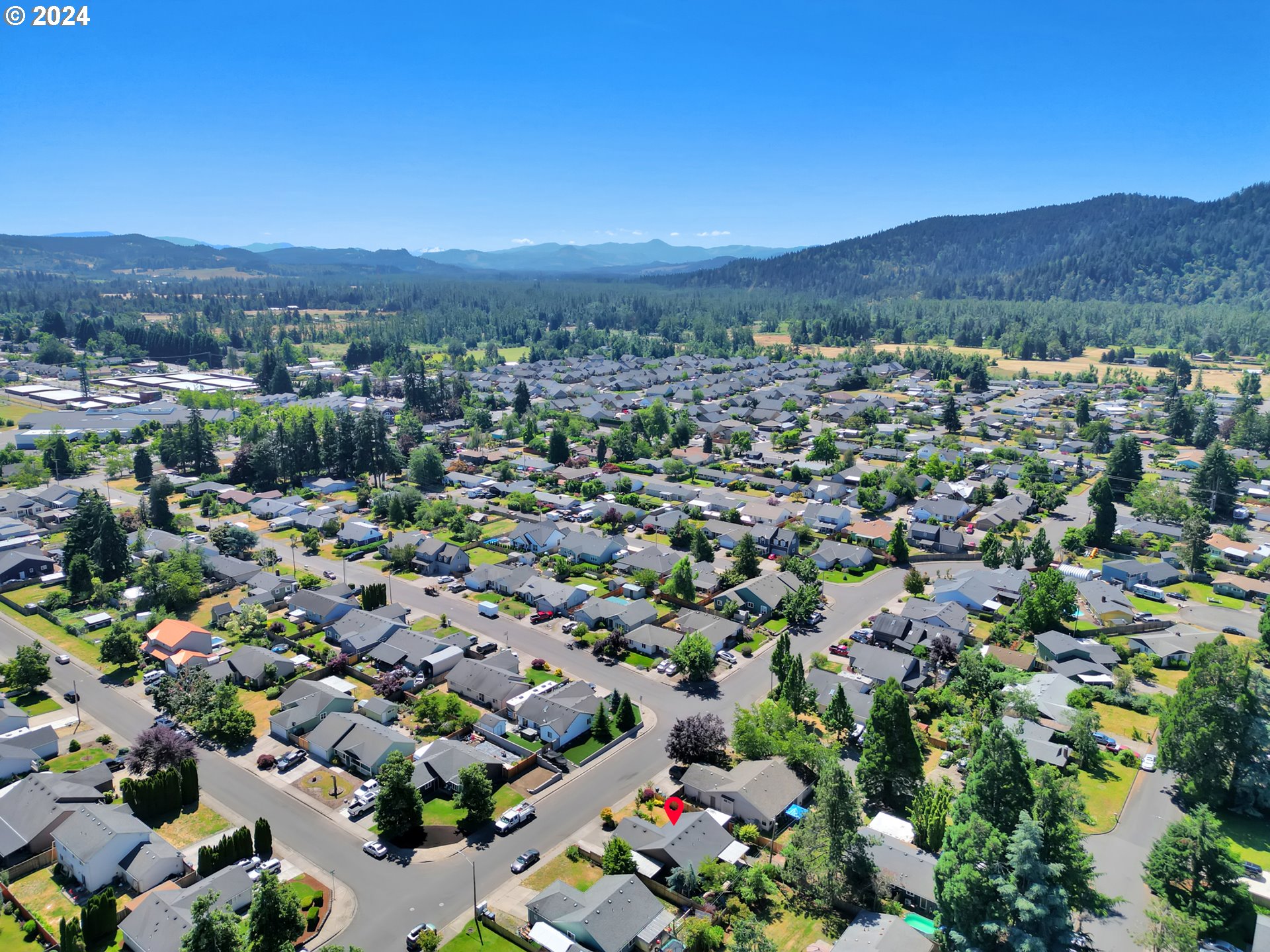 870 Hazelnut Lane Springfield, OR 97478 - Photo 4 of 35 a view of a city with mountains in the background