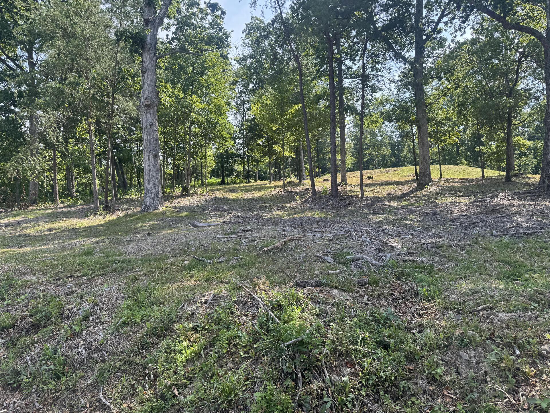 56 Golf Course Road, Unit TRACT 14 SKYLINEACRES) Waverly, OH 45690 - Photo 47 of 51 CT-47