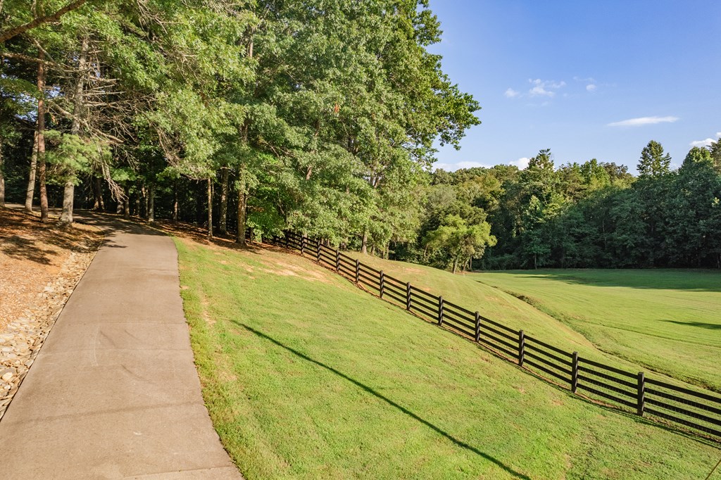 270 Stone Lane Blue Ridge, GA 30513 - Photo 65 of 76