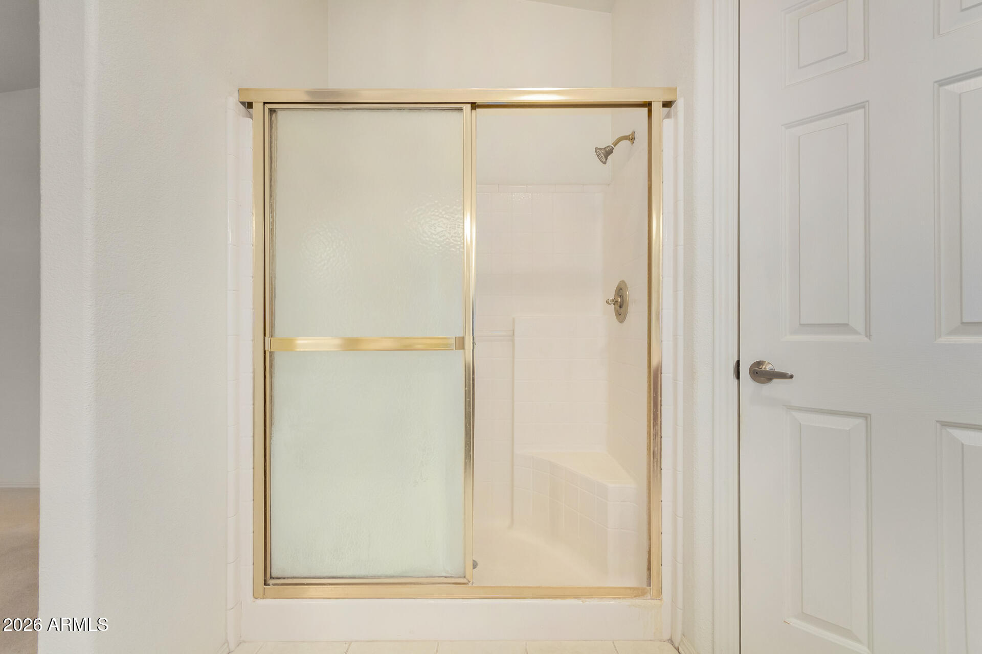 3301 South Goldfield Road, Unit 3004 Apache Junction, AZ 85119 - Photo 21 of 67 a bathroom with a glass shower door