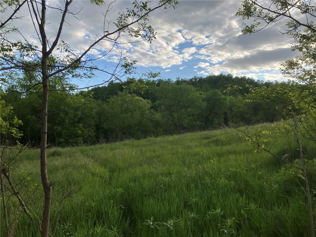 N3953-201 Bear Pen Road Arkansaw, WI 54721 - Photo 24 of 43
