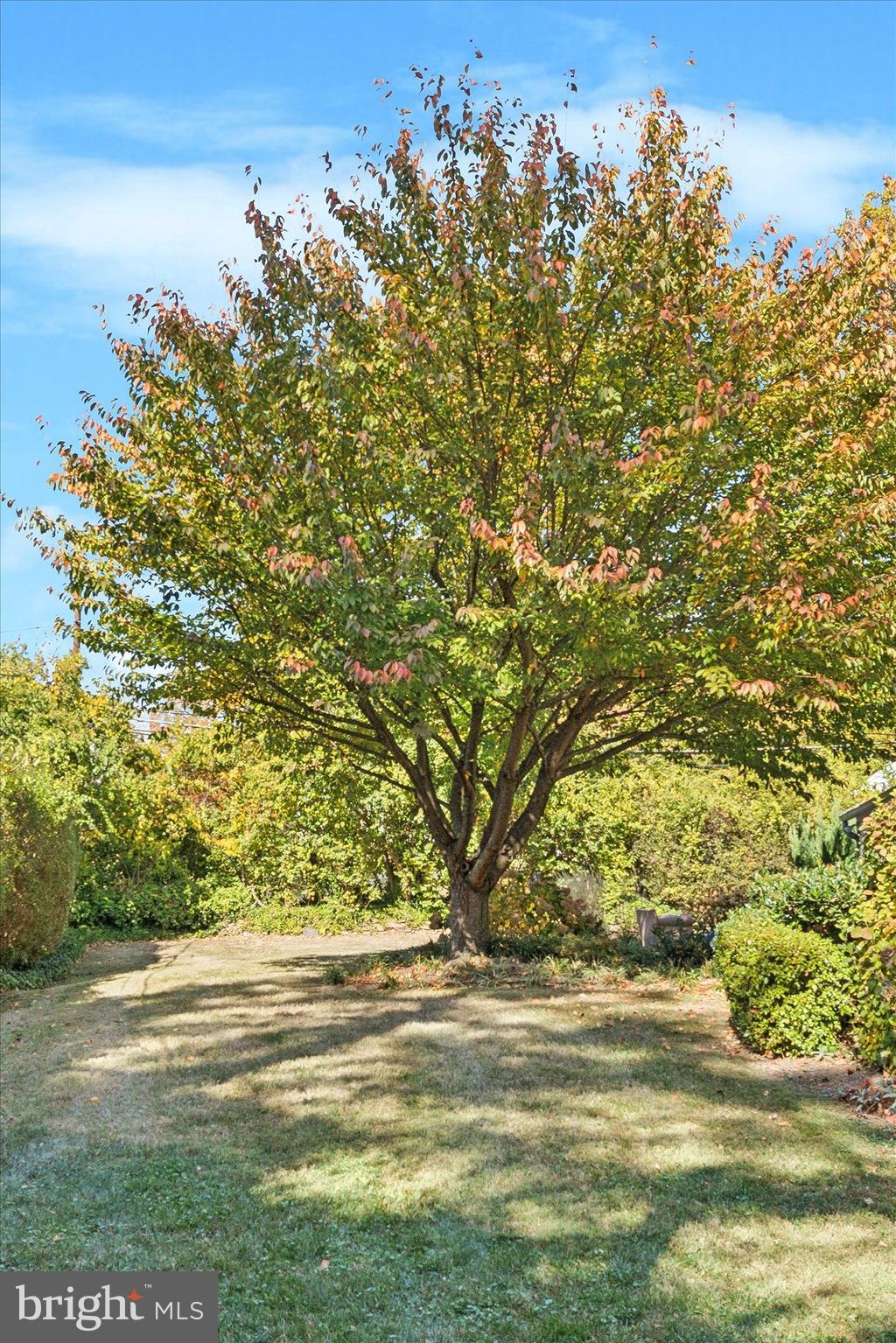 426 Merion Road Merion Station, PA 19066 - Photo 35 of 38 Gallery Image 35