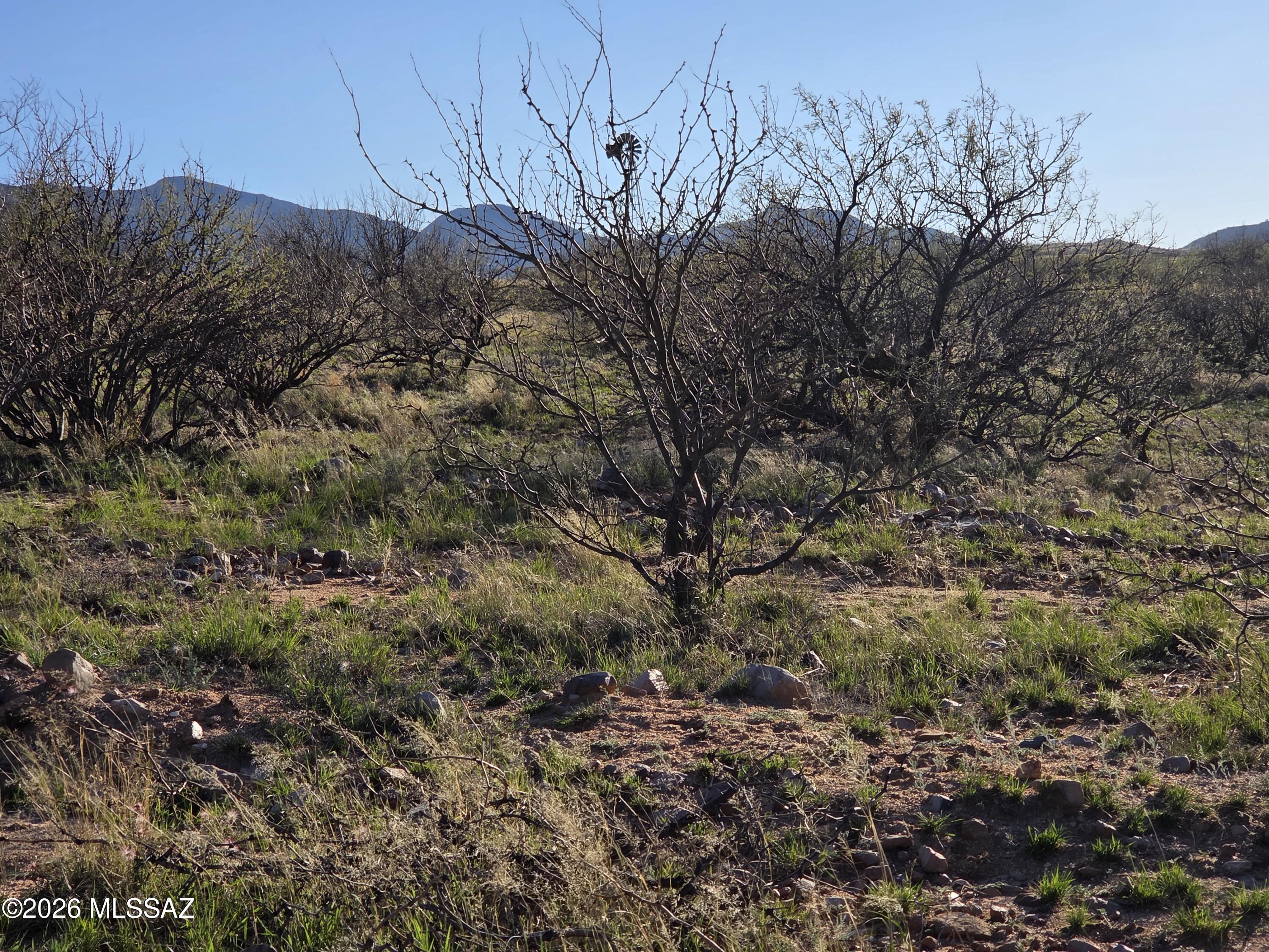 West Canary Spring Road Benson, AZ 85602 - Photo 2 of 10 20260303_170549