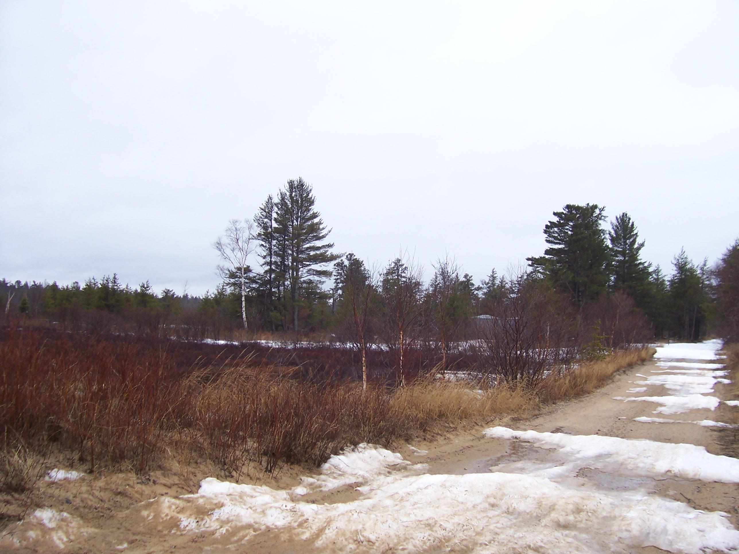 Tbd West Wild Cat Road Paradise, MI 49768 - Photo 10 of 24 Gallery Image 10