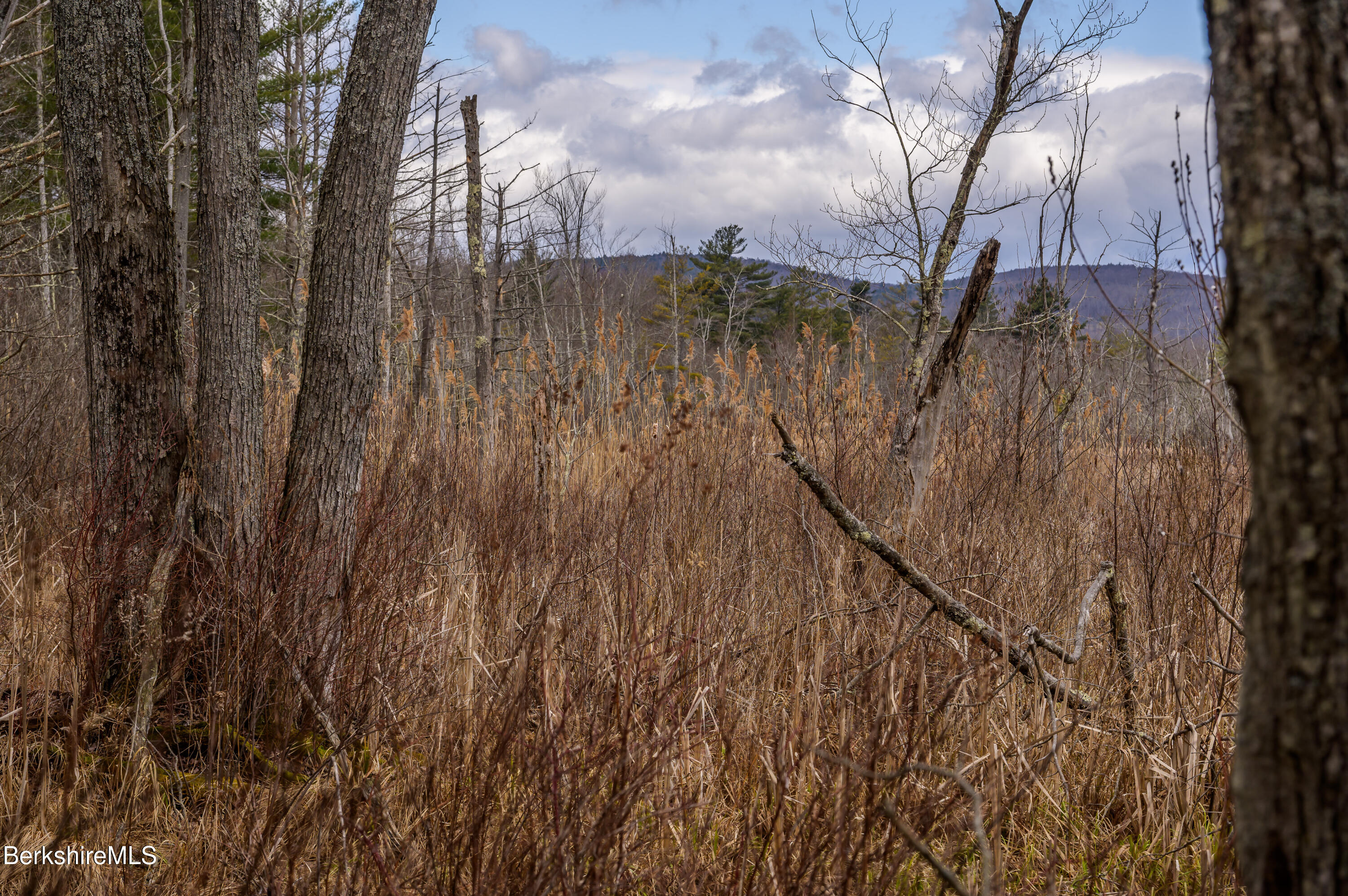 0 Swamp Road Pittsfield, MA 01201 - Photo 21 of 30 Print - 00 Swamp Rd Richmond MA 01254-84