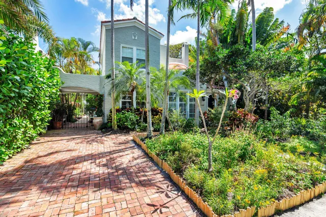 a view of a garden with plants