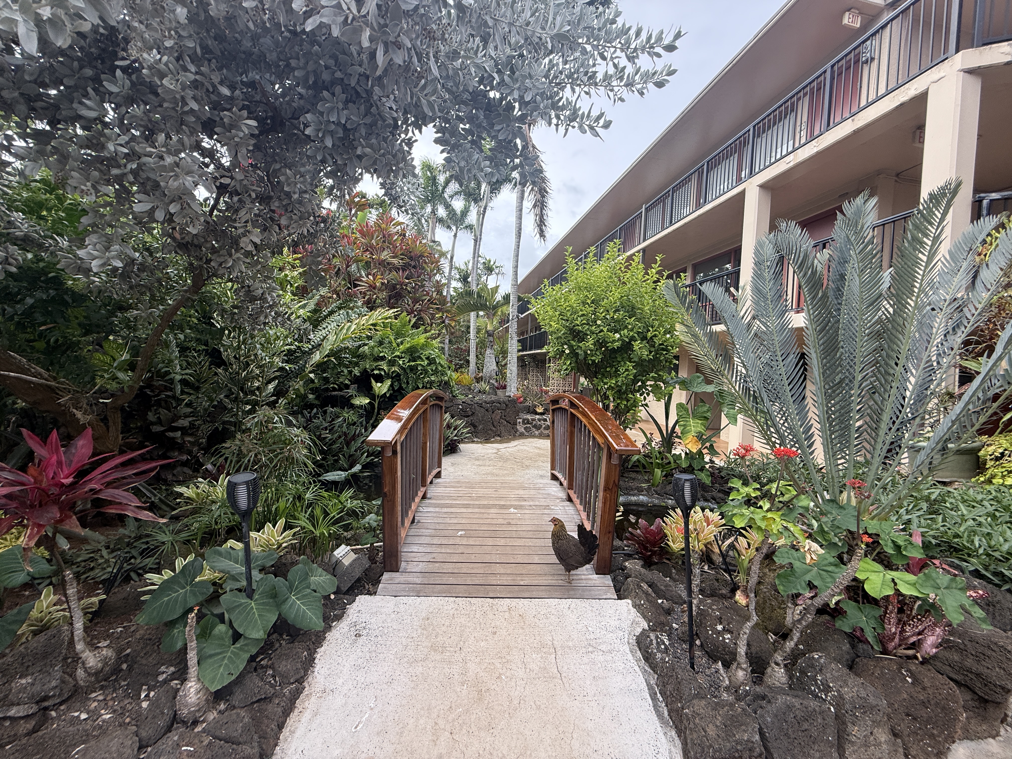 5061 Lawai Road, Unit 307 Koloa, HI 96756 - Photo 20 of 25