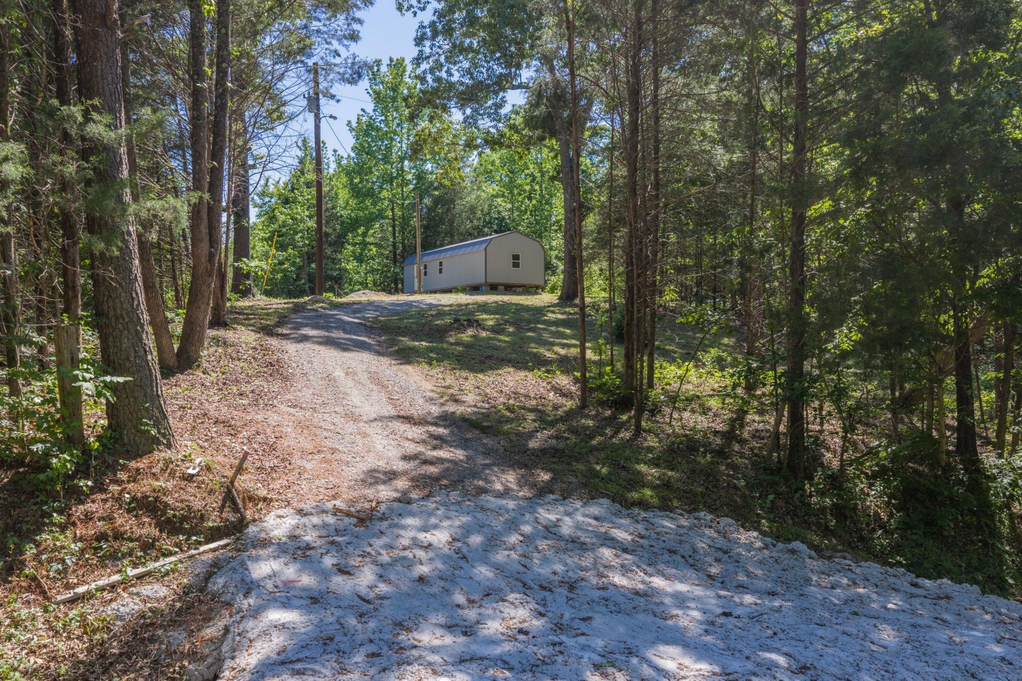 967 Little Jim Road Camden, TN 38320 - Photo 1 of 25 a view of a forest with trees
