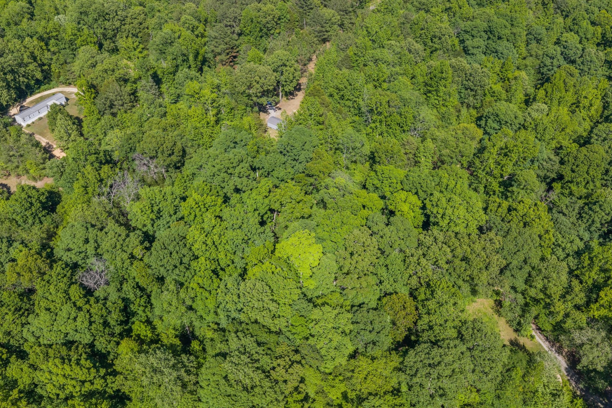 967 Little Jim Road Camden, TN 38320 - Photo 11 of 25 a view of a lush green field