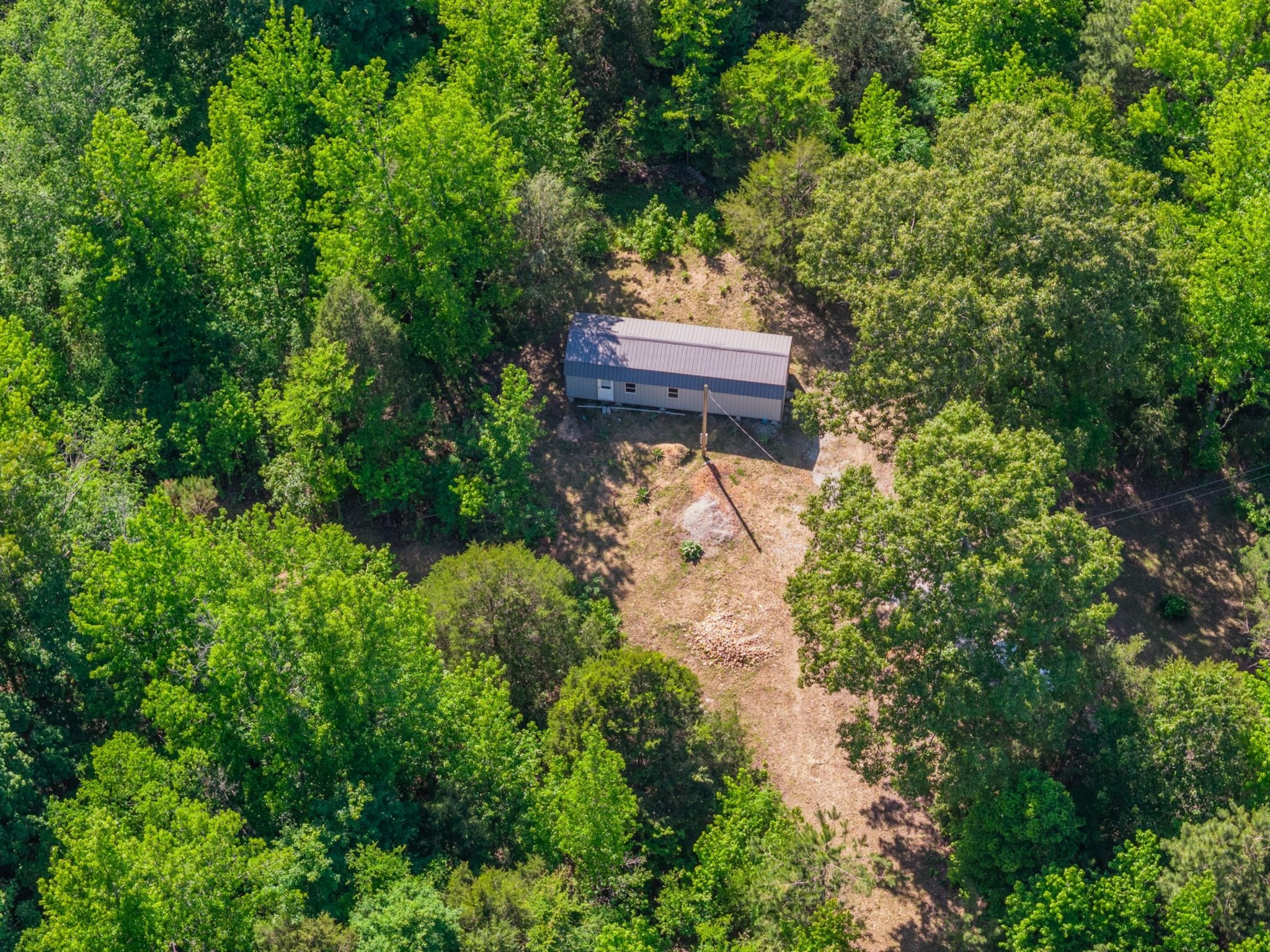 967 Little Jim Road Camden, TN 38320 - Photo 15 of 25 a view of a yard in a forest