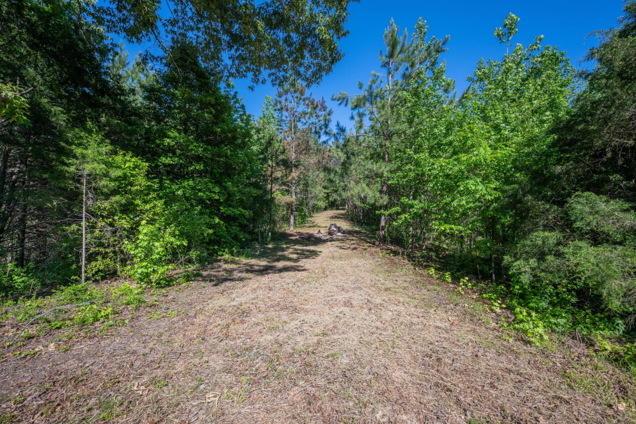 967 Little Jim Road Camden, TN 38320 - Photo 20 of 25 a view of a dirt road with trees in the background