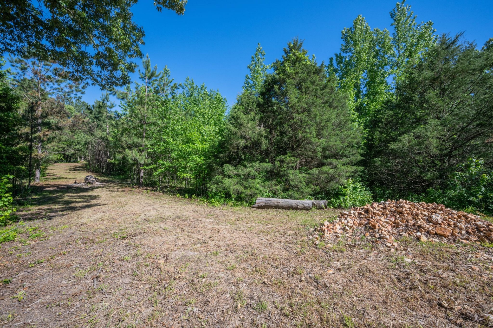 967 Little Jim Road Camden, TN 38320 - Photo 5 of 25 a view of backyard with green space