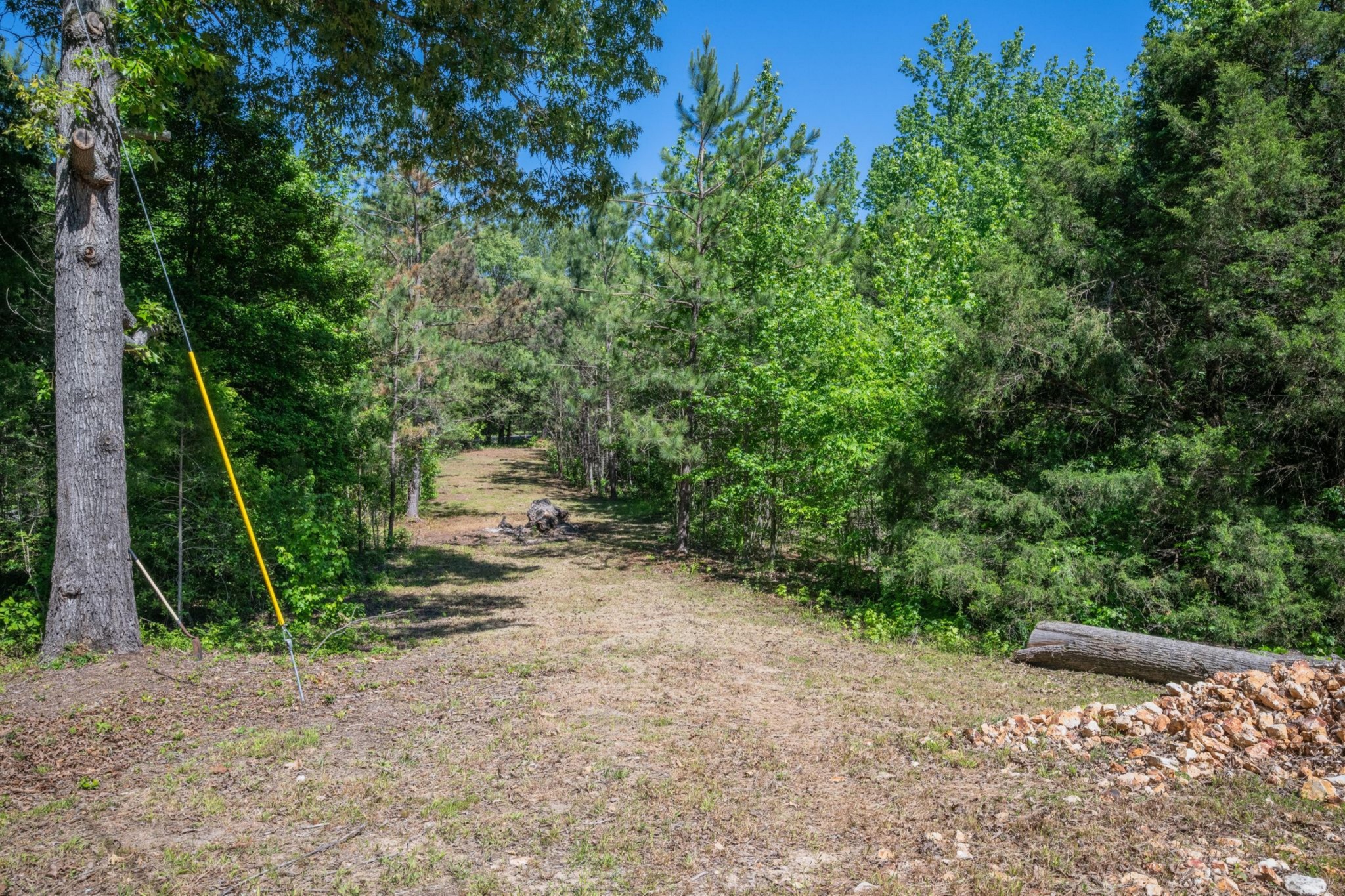 967 Little Jim Road Camden, TN 38320 - Photo 6 of 25 a view of a yard with plants and trees beside of it