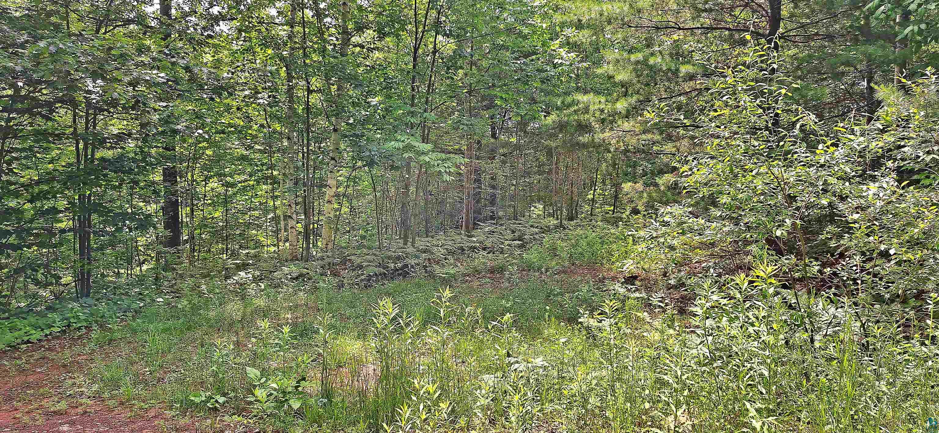 Xxx Apple Hill Road Bayfield, WI 54814 - Photo 13 of 18 Gallery Image 13