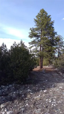 $15,500 | 13 Costilla Place, Mosca, CO 81146