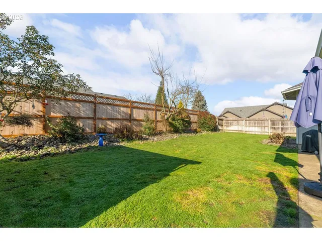 a view of a big yard with plants and a large tree