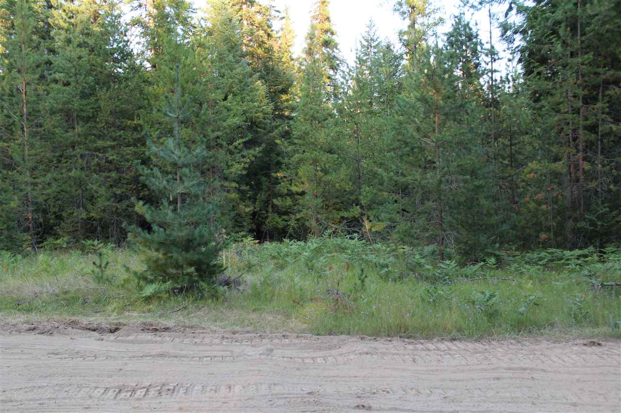 261 Hope Road Newport, WA 99156 - Photo 10 of 13 Gallery Image 10