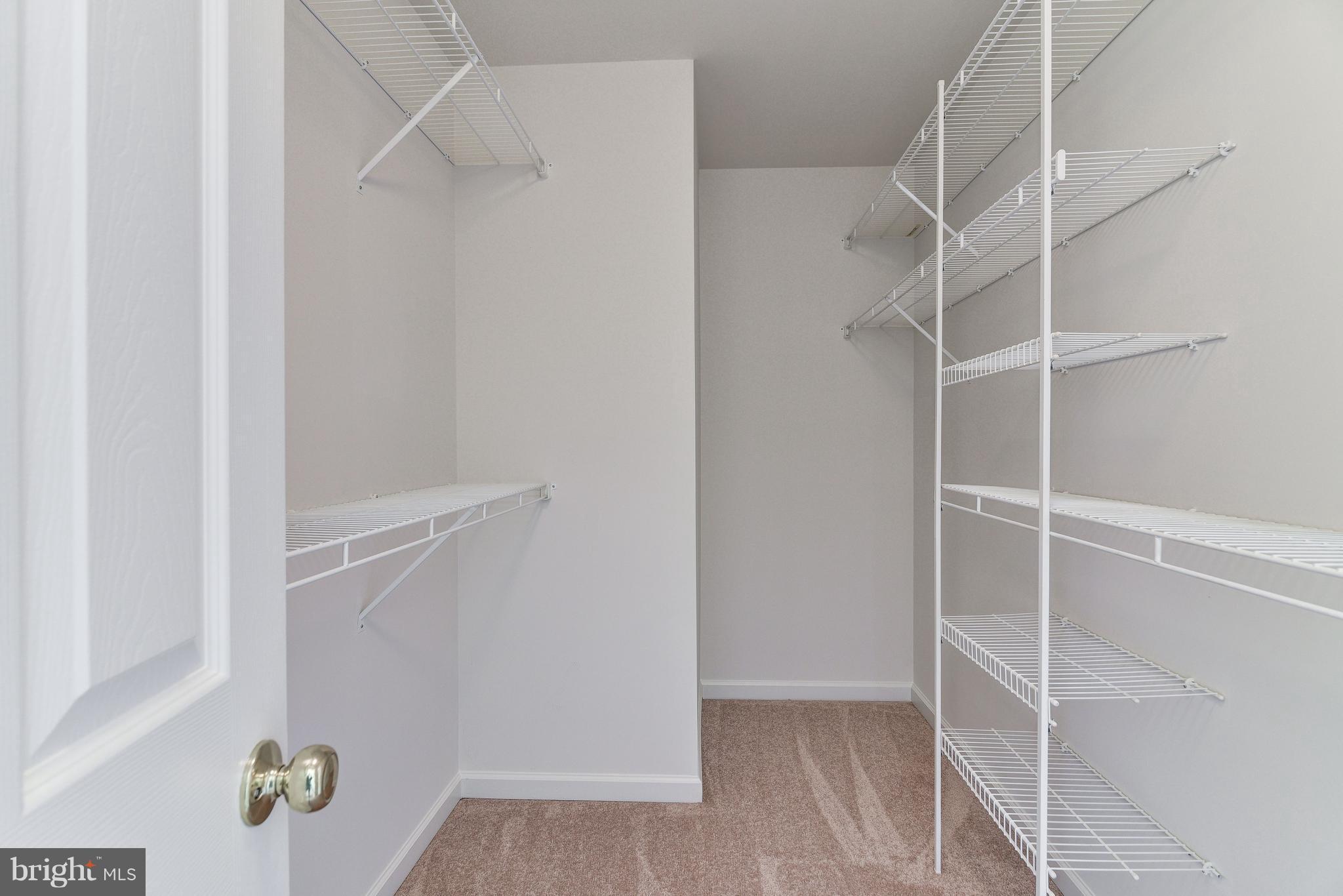 3005 Annas Terrace Frederick, MD 21701 - Photo 18 of 29 a view of walk in closet with empty racks