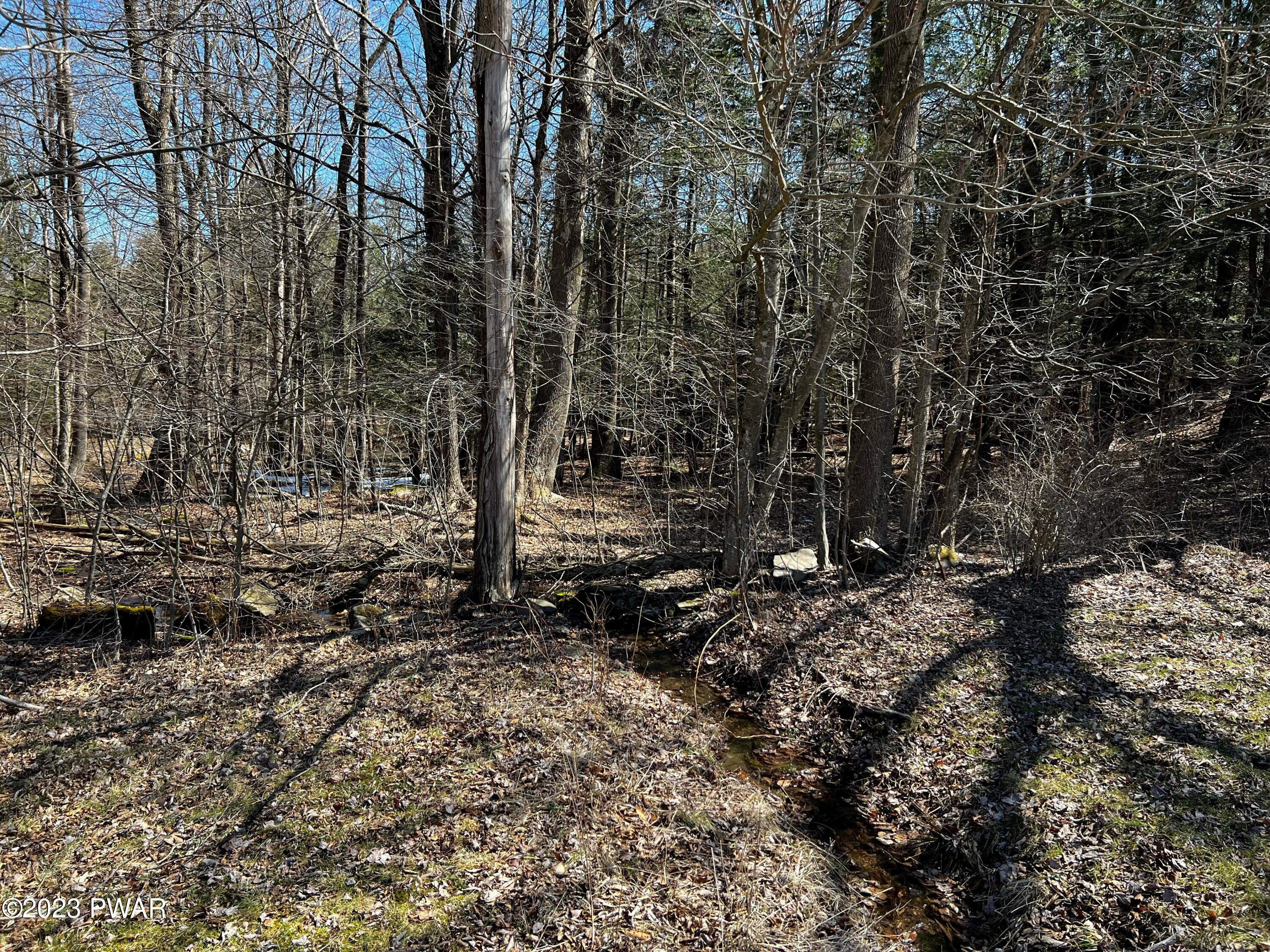 12 Jacob Road Waymart, PA 18472 - Photo 29 of 29