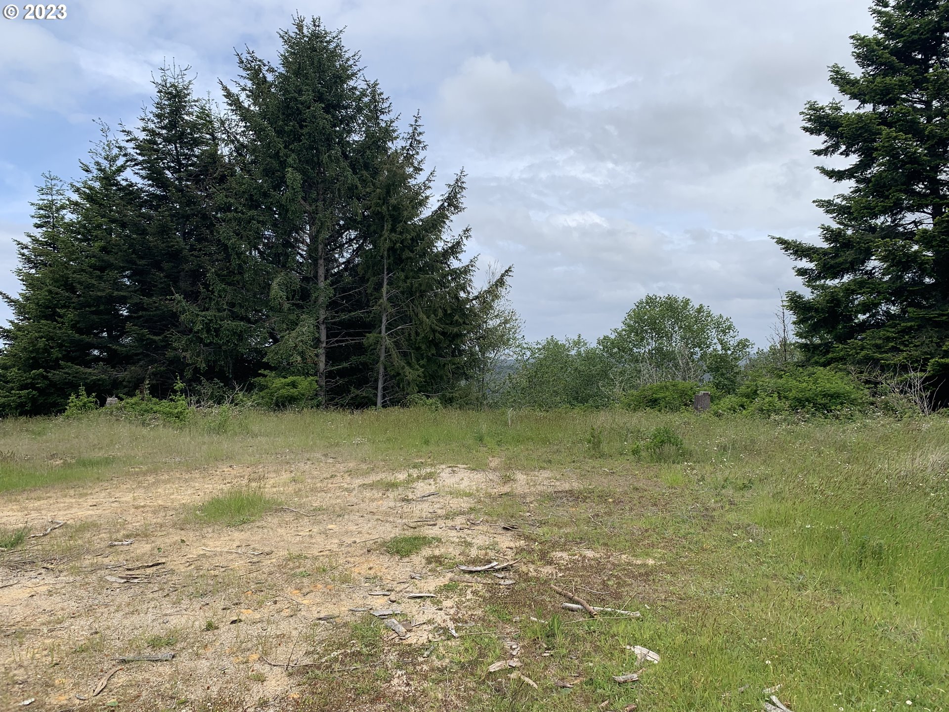 0 Fiddle Back Road North Bend, OR 97459 - Photo 11 of 19 a view of outdoor space and yard