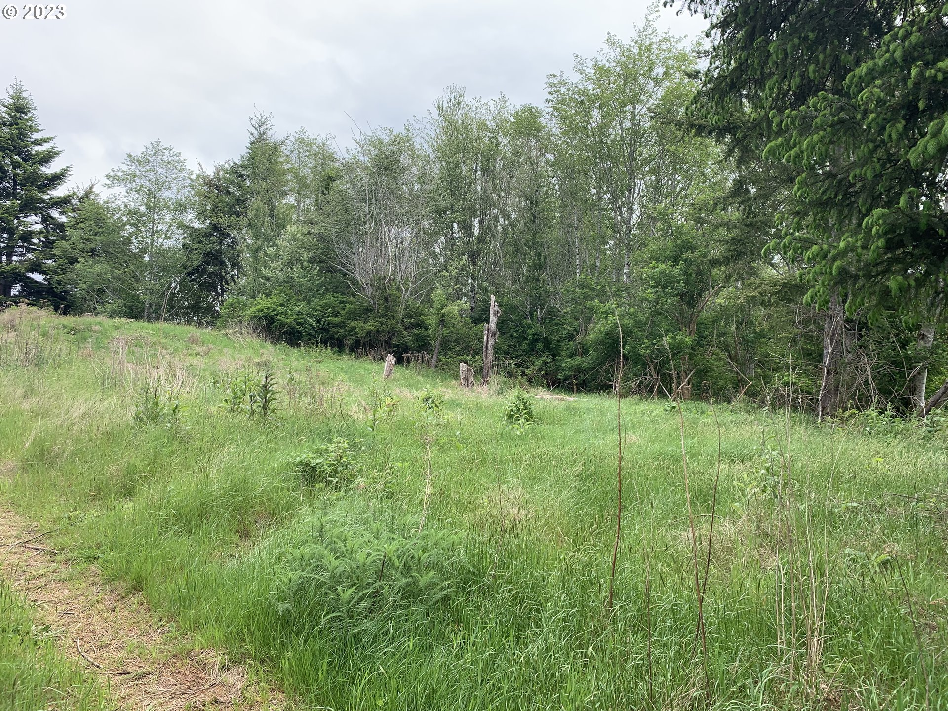 0 Fiddle Back Road North Bend, OR 97459 - Photo 14 of 19 a view of outdoor space and yard