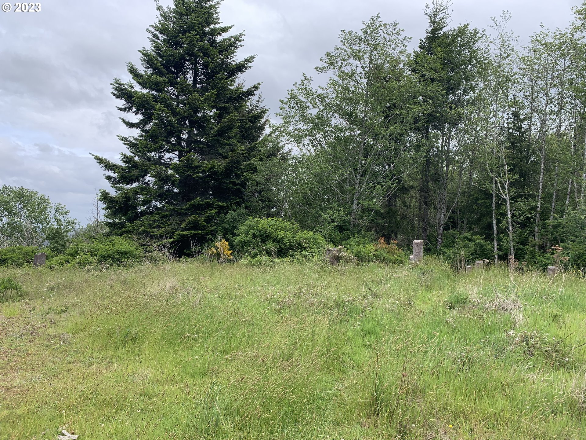 0 Fiddle Back Road North Bend, OR 97459 - Photo 16 of 19 a view of a lush green space