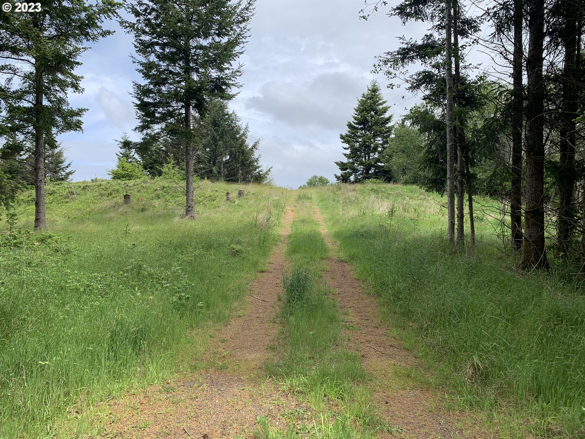 0 Fiddle Back Road North Bend, OR 97459 - Photo 3 of 19 a view of yard with green space