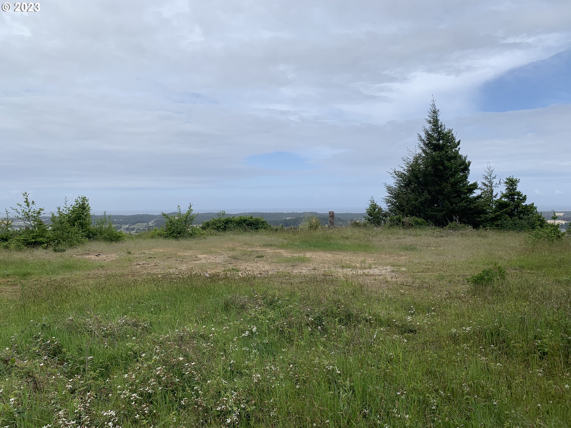 0 Fiddle Back Road North Bend, OR 97459 - Photo 4 of 19 a view of an outdoor space and a yard